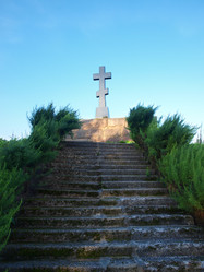 Similar image 843566