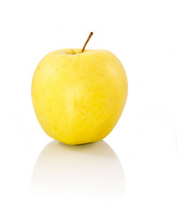 Similar image 843629