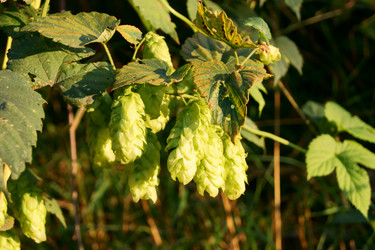 Similar image 843690