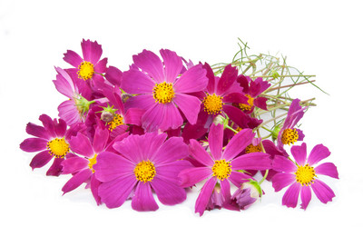 Similar image 843727