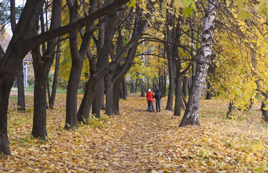 Similar image 843786