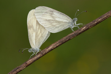 Similar image 843845