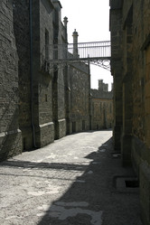 Similar image 843854