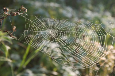 Similar image 843866