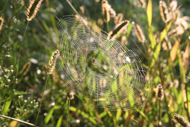 Similar image 843867