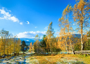 Similar image 843921