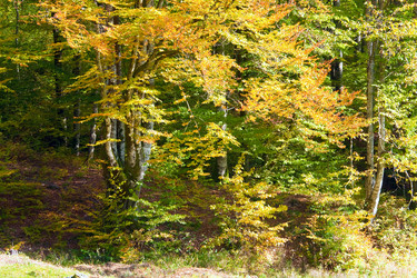 Similar image 843932