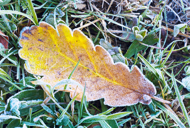 Similar image 843947