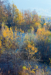 Similar image 843949