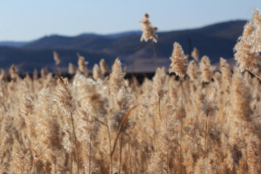 Similar image 843977