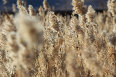 Similar image 843979