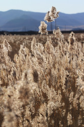 Similar image 843980