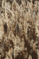 Similar image 843982