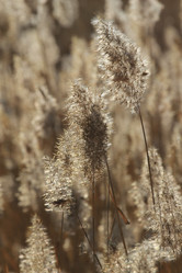 Similar image 843984