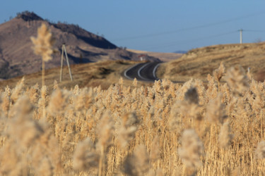 Similar image 843990