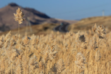 Similar image 843991