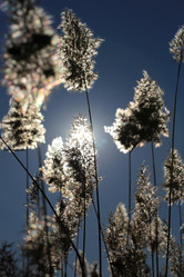 Similar image 843997