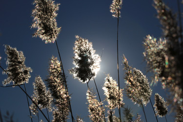 Similar image 844007