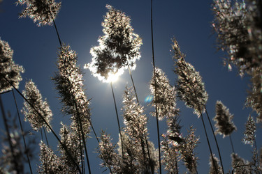 Similar image 844005