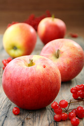 Similar image 844041