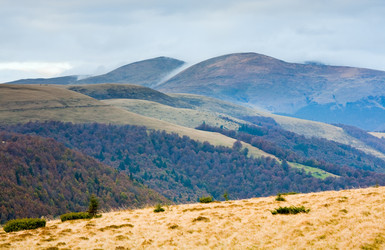 Similar image 844052