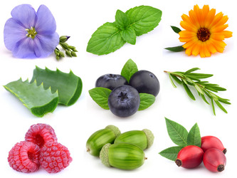 Similar image 844055