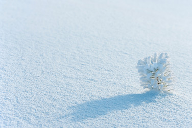 Similar image 844071