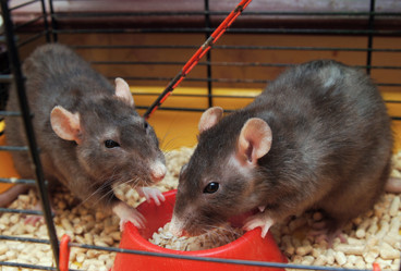 Similar image 844183