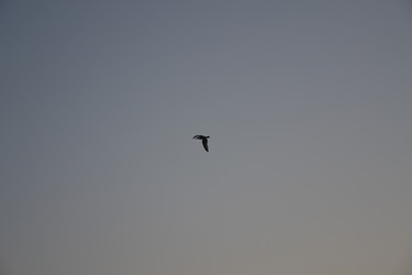 Similar image 844225