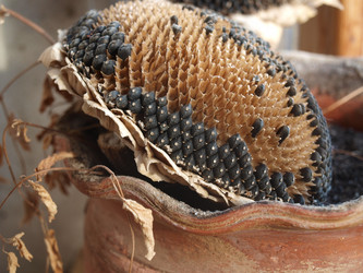 Similar image 844247