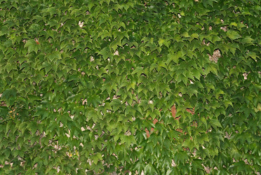 Similar image 844288