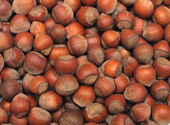 Similar image 844293