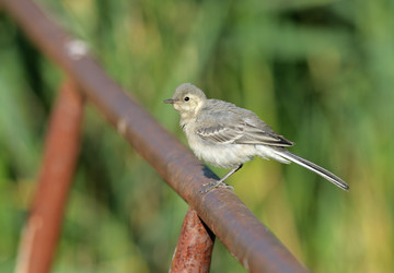 Similar image 844315