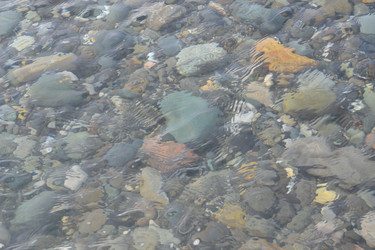 Similar image 844464