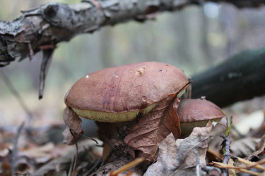 Similar image 844486