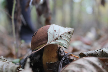 Similar image 844488