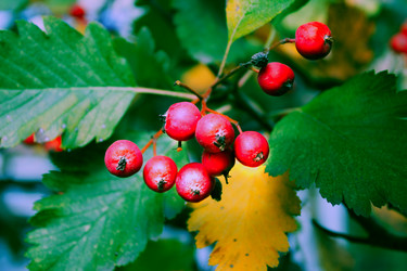 Similar image 844489