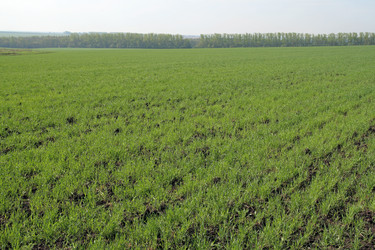 Similar image 844588