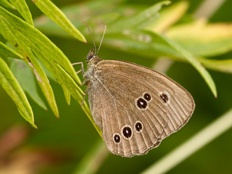 Similar image 844611