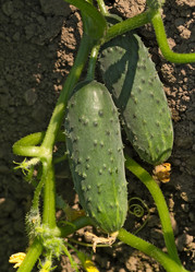 Similar image 844628