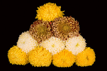 Similar image 844681