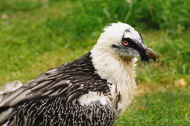 Similar image 844719