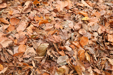 Similar image 844800