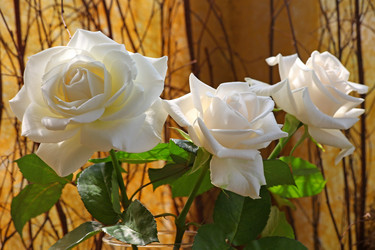 Similar image 844803