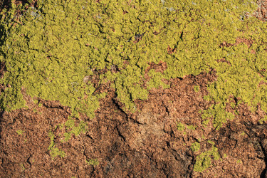 Similar image 844810