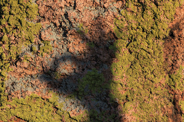 Similar image 844811