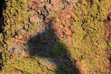 Similar image 844815