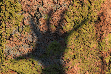 Similar image 844816