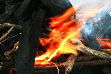 Similar image 844824