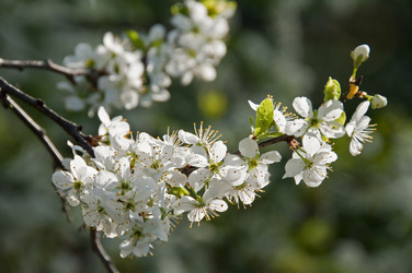 Similar image 844883